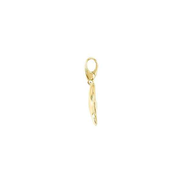 14K Gold Angel Fish Charm