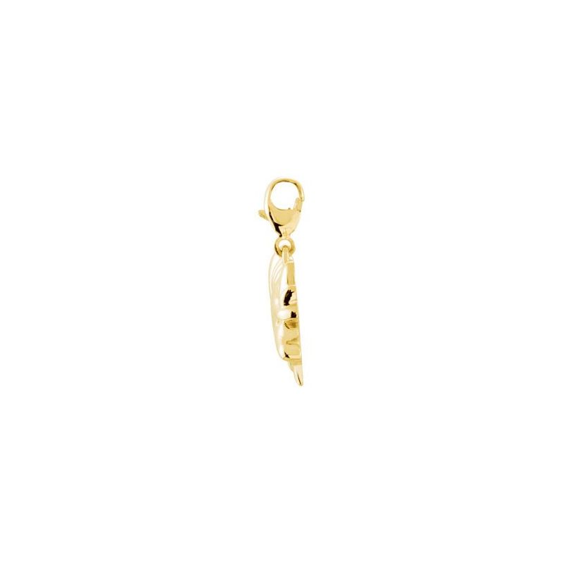 14K Yellow Charming Animals® Armadillo Charm