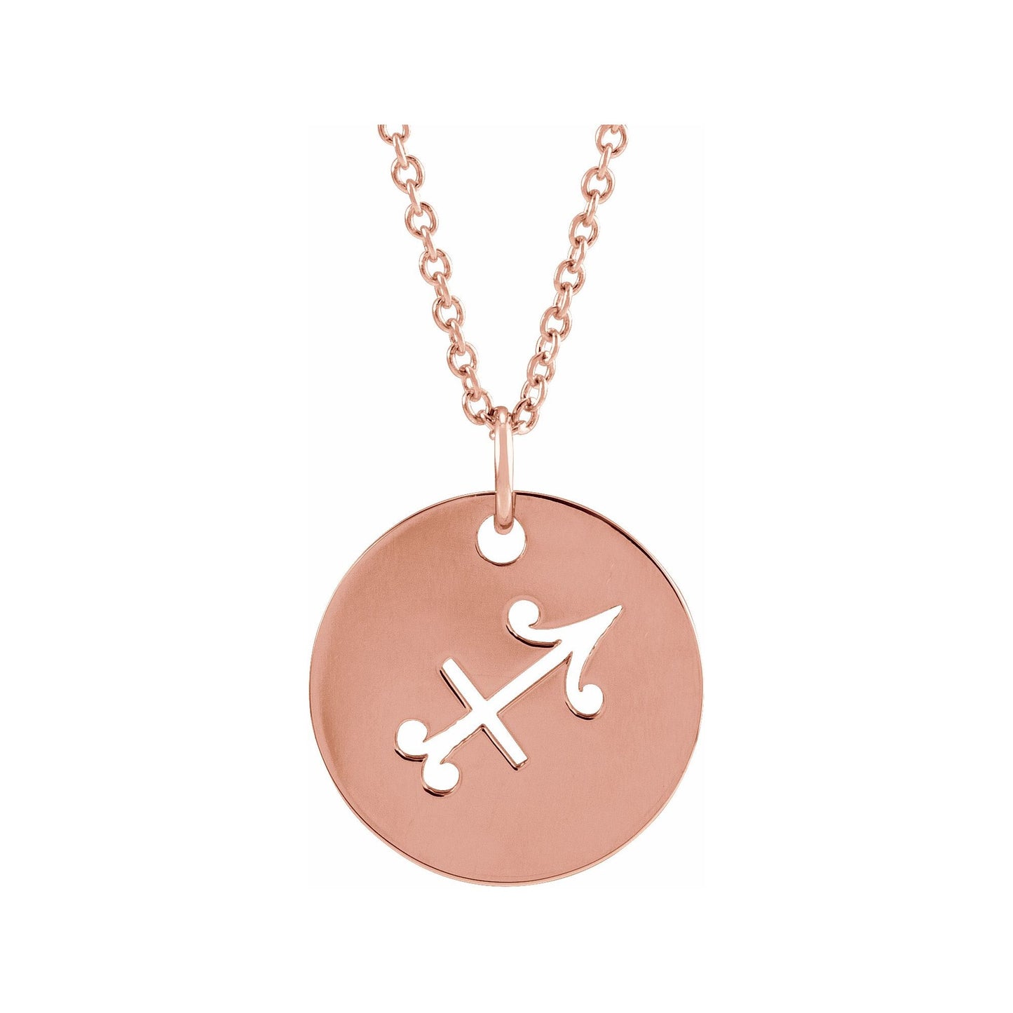 14K Gold Zodiac Disc 16-18" Necklace
